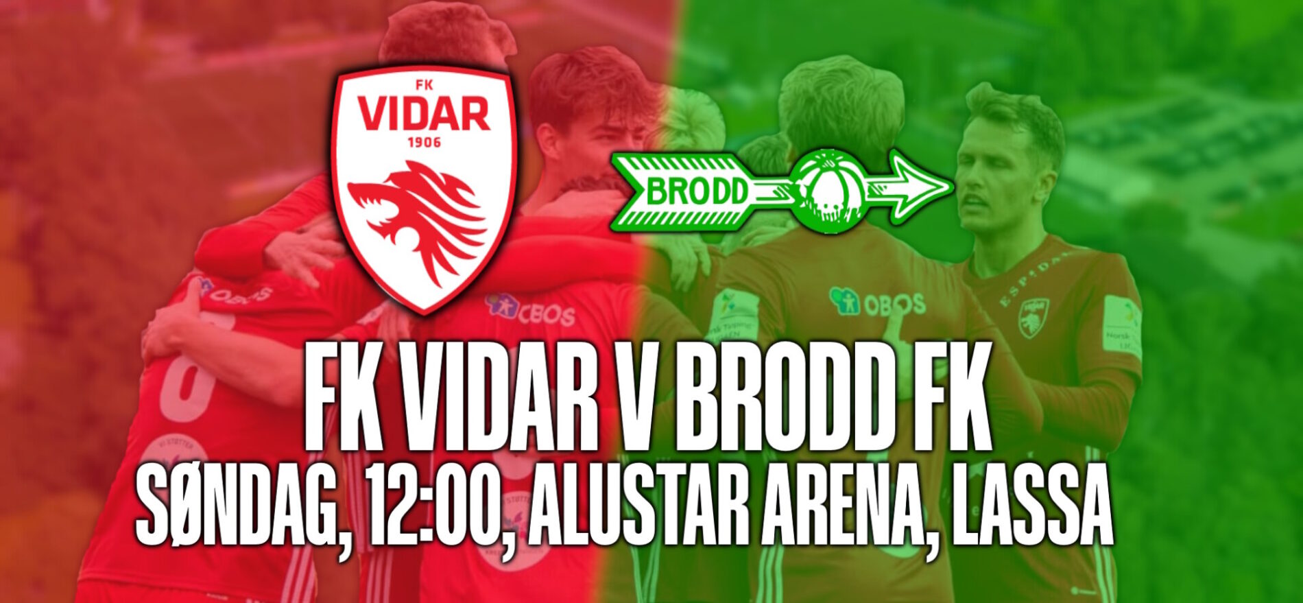 vidar v brodd