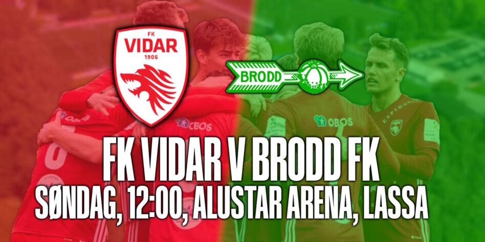 vidar v brodd